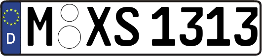 M-XS1313