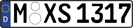 M-XS1317
