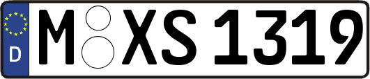M-XS1319