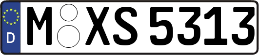 M-XS5313