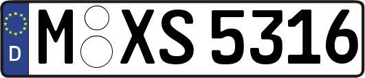 M-XS5316
