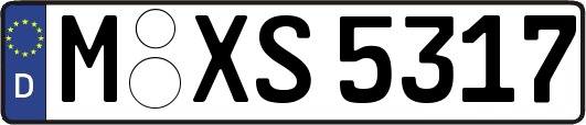 M-XS5317