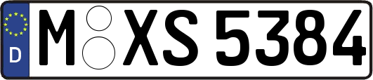 M-XS5384