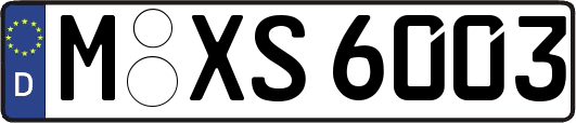 M-XS6003