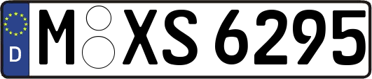 M-XS6295