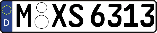 M-XS6313
