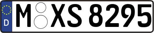 M-XS8295