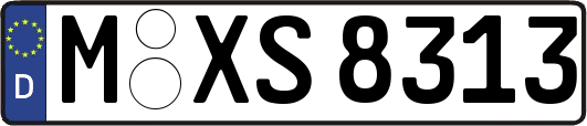 M-XS8313