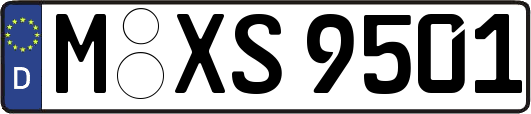 M-XS9501
