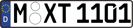 M-XT1101