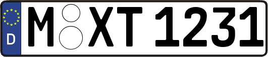 M-XT1231