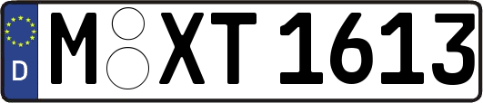M-XT1613