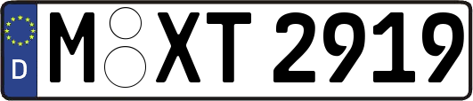 M-XT2919