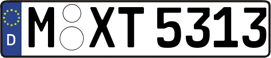 M-XT5313