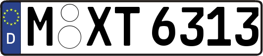 M-XT6313
