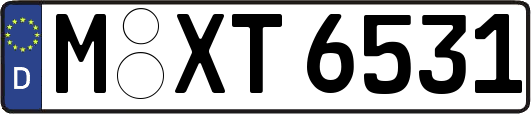 M-XT6531