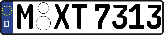 M-XT7313