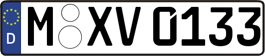 M-XV0133