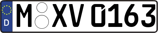 M-XV0163