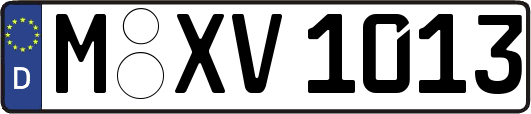 M-XV1013
