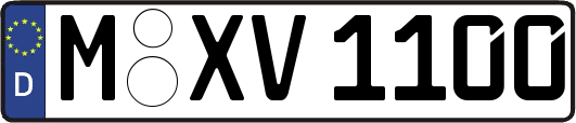 M-XV1100
