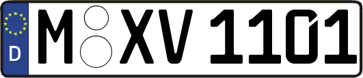 M-XV1101