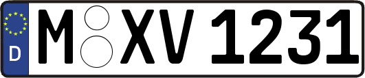 M-XV1231