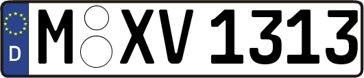 M-XV1313