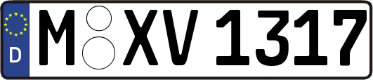 M-XV1317