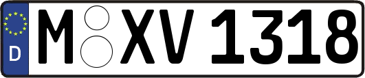 M-XV1318