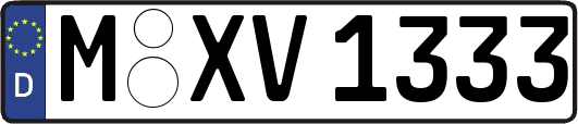 M-XV1333