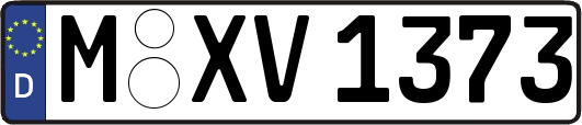 M-XV1373