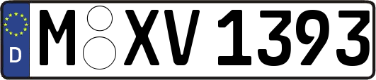 M-XV1393