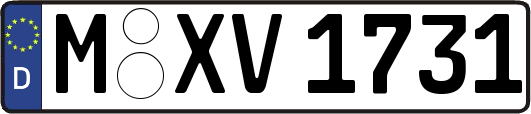 M-XV1731
