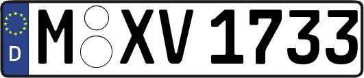 M-XV1733