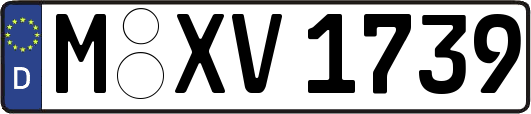 M-XV1739