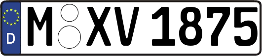 M-XV1875