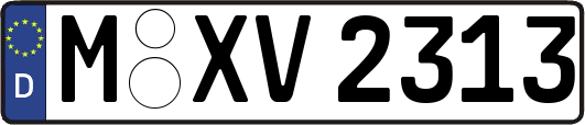 M-XV2313