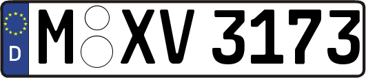 M-XV3173