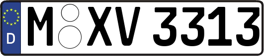 M-XV3313