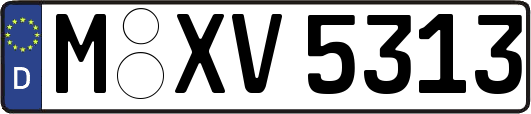 M-XV5313