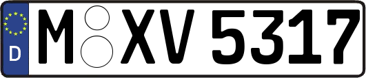 M-XV5317