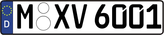 M-XV6001