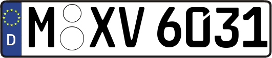 M-XV6031