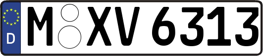 M-XV6313