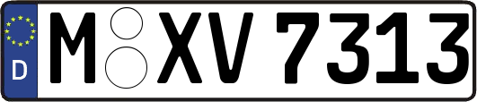 M-XV7313
