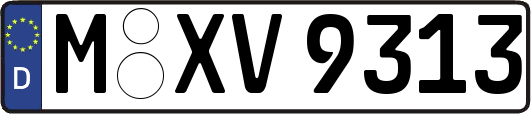 M-XV9313