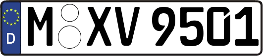 M-XV9501