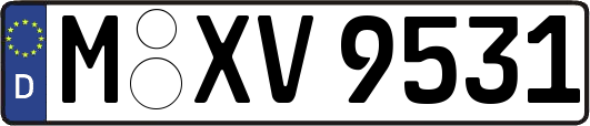 M-XV9531