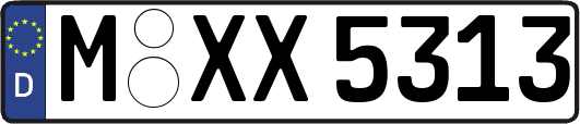 M-XX5313